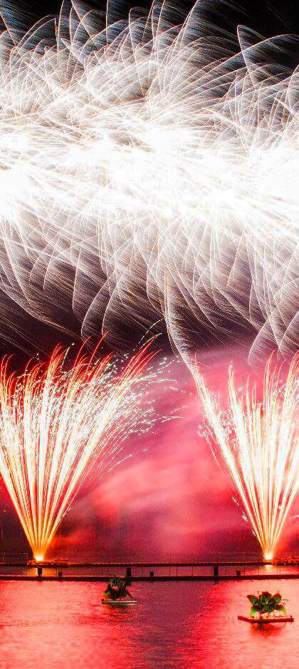 The UK Firework Company Ltd photo 4