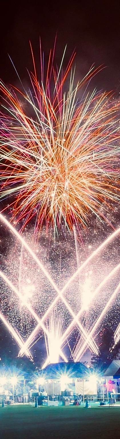 Firework Events The Firework Company photo 5