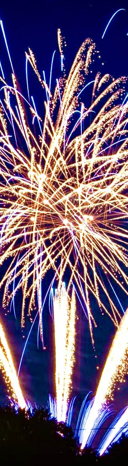 Firework Events The Firework Company photo 7